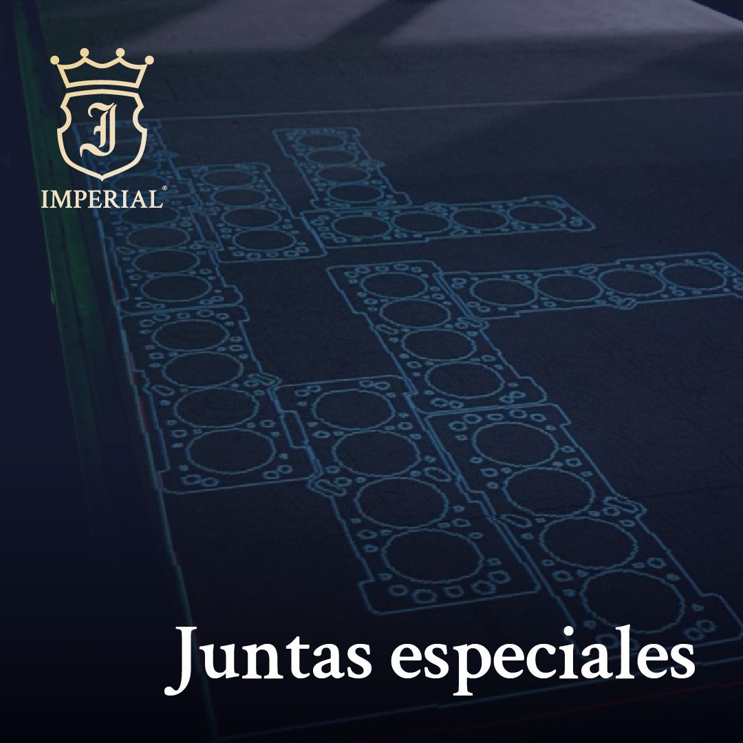 especiales--a-medida-562